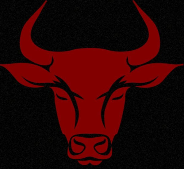 BULL ELIXIR